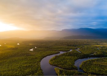 BNDES lança Floresta Viva 2, que prevê R$ 100 mi para restauração e preservação de biomas