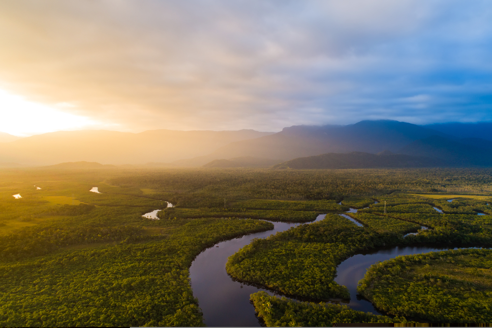 Desembolsos do BNDES para Amazônia Legal batem R$ 10,4 bi em 2024 até setembro