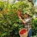 Agricultores franceses protestam contra acordo Mercosul-UE