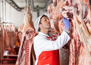 Ministério da Agricultura rechaça declaração do CEO do Carrefour sobre veto à carne do Mercosul