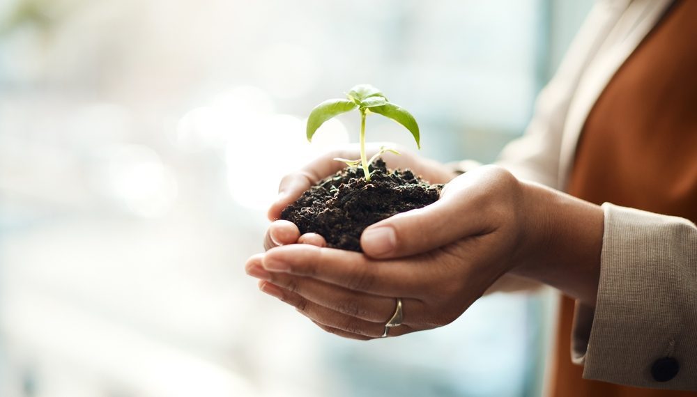 BNDES fica em 1º no ranking Idec de bancos responsáveis nas áreas social e ambiental