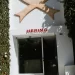 Hering