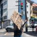 Pobreza e extrema pobreza atingem menor nível no País desde 2012