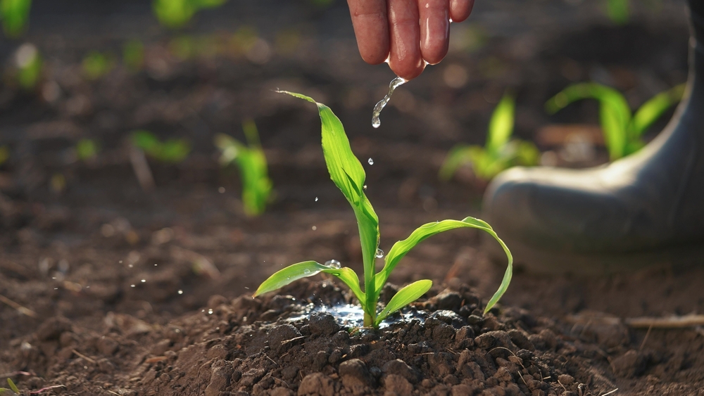 Brasil abriu 300 mercados para produtos agropecuários em menos de 2 anos