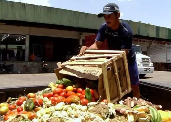 desperdício de alimentos
