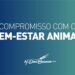 M. Dias Branco passa a utilizar apenas ovos de galinhas livres