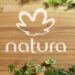 Natura lidera mercado de beleza na América Latina