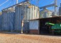 Do campo ao varejo: Kellanova aposta em milho sustentável na produção do Sucrilhos