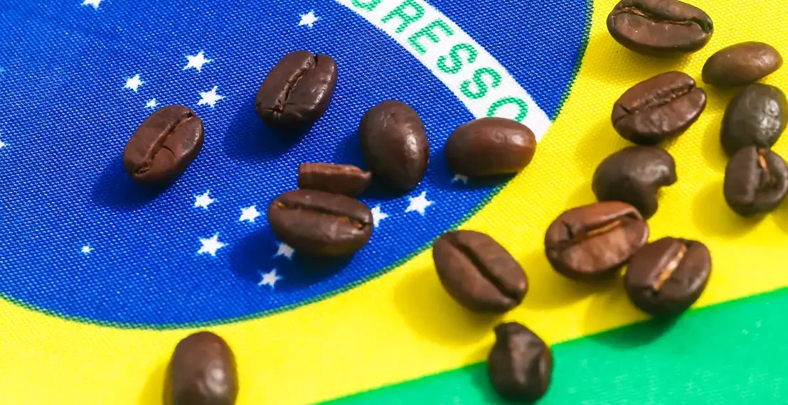 Com tarifaço, café do Brasil corre risco de perder espaço nos EUA