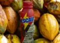 ESG: Como fazendas parcerias produzem o cacau sustentável da Nestlé