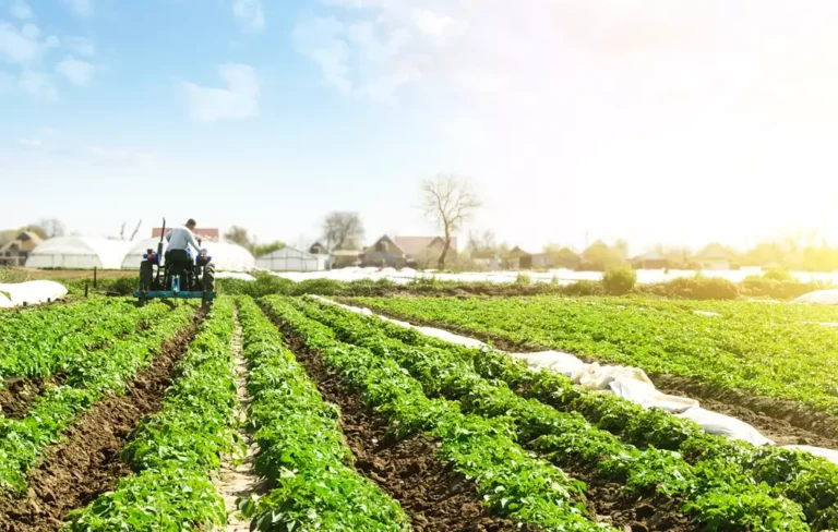 Planalto confirma Plano Safra 2025/26 de R$ 516,2 bi para agricultura empresarial