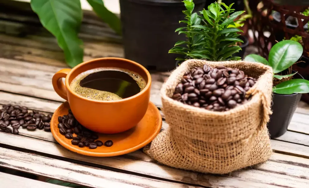Preços altos derrubam consumo de café no Brasil em 2025