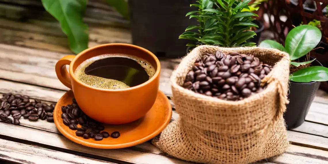 Preços altos derrubam consumo de café no Brasil em 2025