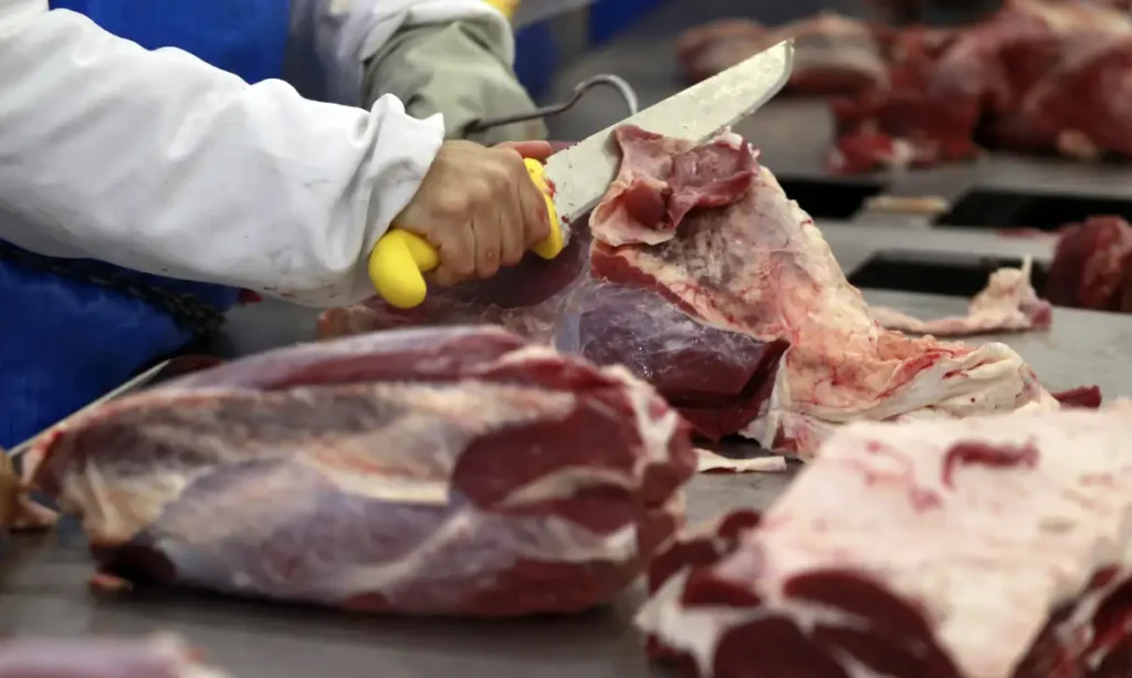 Conselho da MBRF aprova programa de recompra de até 25 milhões de ações ordinárias