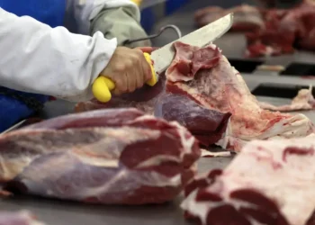 Conselho da MBRF aprova programa de recompra de até 25 milhões de ações ordinárias