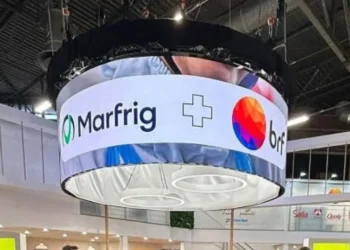MBRF: Fusão entre Marfrig e BRF cria companhia de mais de R$ 160 bilhões em faturamento