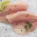 Abipesca pede que pescados brasileiros sejam excluídos de investigação sob Seção 301
