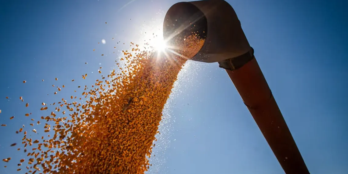 Banco Mundial prevê menor nível em seis anos para preços de commodities em 2026