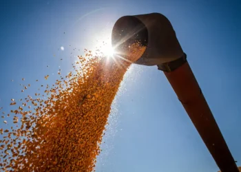 Banco Mundial prevê menor nível em seis anos para preços de commodities em 2026