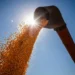 Banco Mundial prevê menor nível em seis anos para preços de commodities em 2026