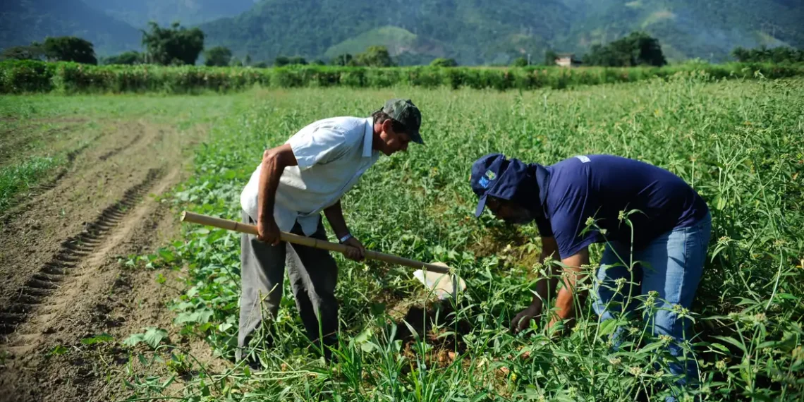 Banco do Brasil renegociou R$ 1,8 bilhão de dívidas de produtores rurais do RS