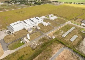 Bauducco inaugura linha de produção na fábrica de Rio Largo, em Alagoas