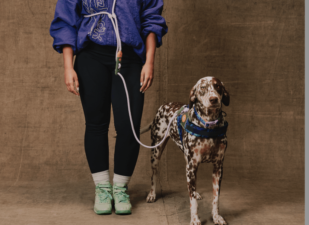 Zee.Dog e Reebok lançam coleção de produtos para pets