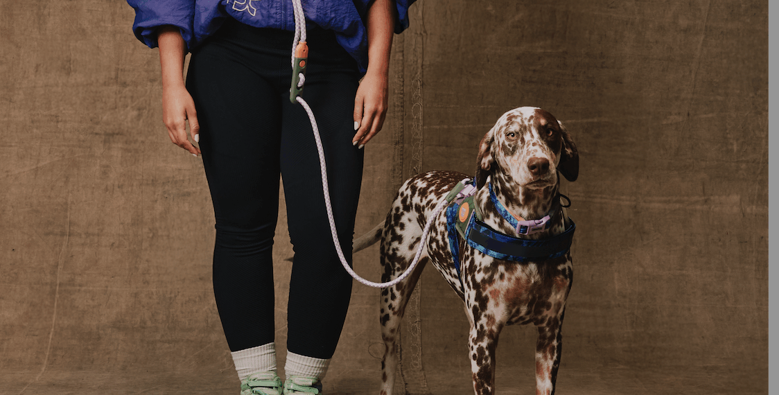Zee.Dog e Reebok lançam coleção de produtos para pets