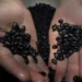 Emirados Árabes Unidos e Líbano abrem mercados para codornas e feijão preto do Brasil