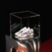 Adidas e Artemisi lançam versão futurista do tênis Taekwondo no Brasil