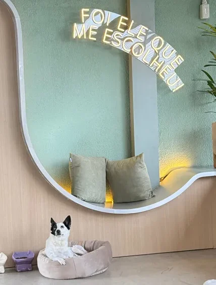Novo espaço na Vila Madalena conecta adoção responsável, gastronomia e varejo