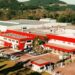 Bom Princípio Alimentos expande operações para o foodservice nos Estados Unidos