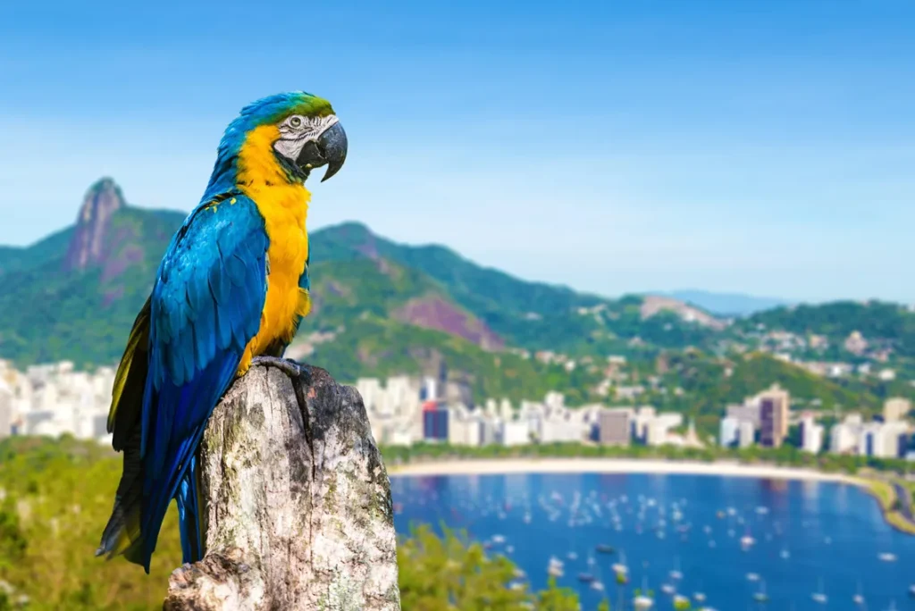 Turismo brasileiro projeta faturamento de R$ 218,77 bilhões no verão