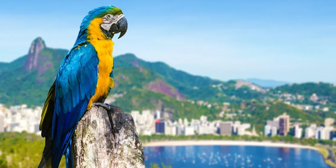 Turismo brasileiro projeta faturamento de R$ 218,77 bilhões no verão