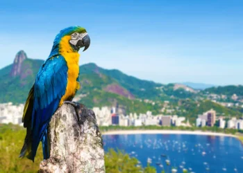 Turismo brasileiro projeta faturamento de R$ 218,77 bilhões no verão