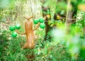 Pokémon inaugura seu primeiro parque temático permanente ao ar livre