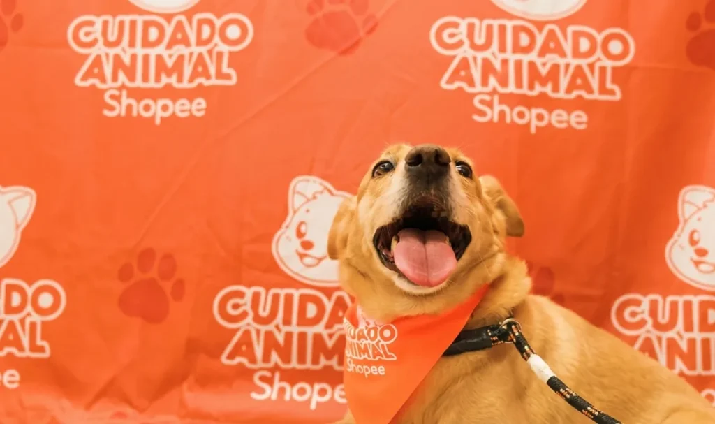Shopee lança projeto de cuidado animal em parceria com o Instituto Ampara Animal