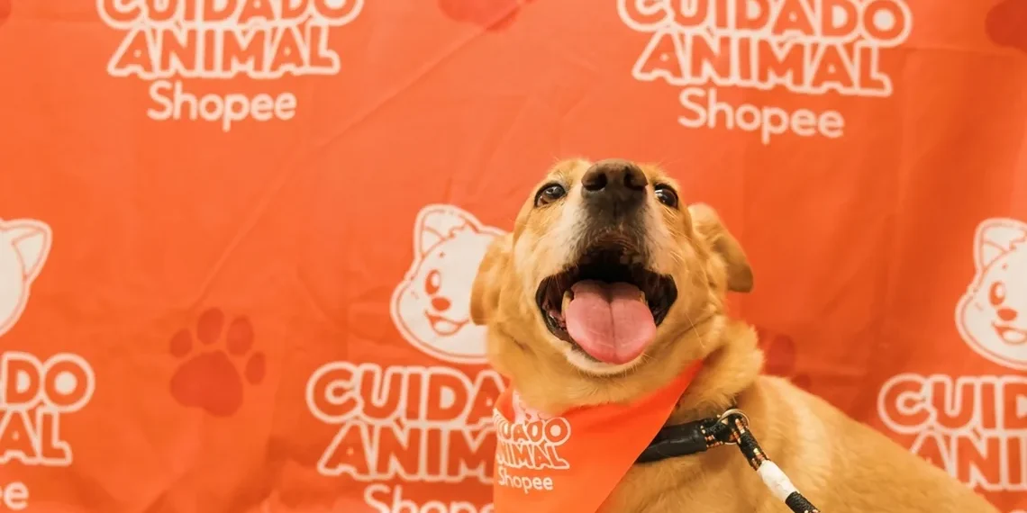 Shopee lança projeto de cuidado animal em parceria com o Instituto Ampara Animal