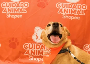 Shopee lança projeto de cuidado animal em parceria com o Instituto Ampara Animal