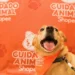 Shopee lança projeto de cuidado animal em parceria com o Instituto Ampara Animal