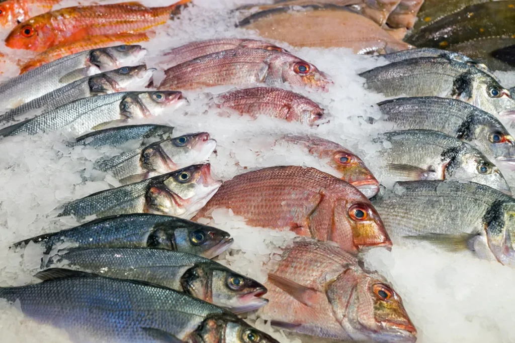 Exportação de pescados do Brasil deve somar US$ 600 mi após alívio tarifário dos EUA