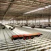 Dafiti quer transformar logística em motor de expansão para marcas de moda