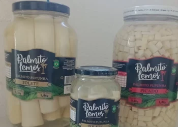 Anvisa determina apreensão de produtos da marca Palmito Lemos