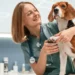 Petlove lança Vetlove, plataforma voltada ao desenvolvimento e bem-estar dos médicos-veterinários