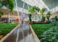 Nove em cada dez brasileiros veem shoppings como hubs de lazer e entretenimento