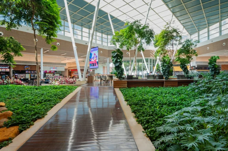 Nove em cada dez brasileiros veem shoppings como hubs de lazer e entretenimento