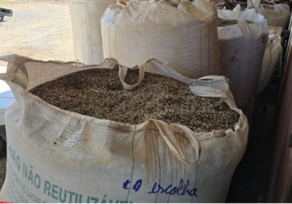 Operação apreende mais de 82 mil quilos de produtos de café