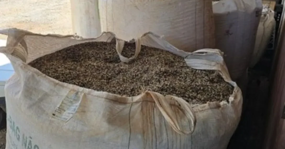 Operação apreende mais de 82 mil quilos de produtos de café