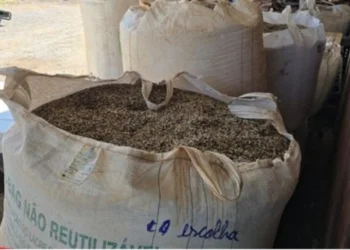 Operação apreende mais de 82 mil quilos de produtos de café