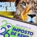Imposto de Renda: A menos de um mês do fim do prazo, 59% não enviaram declaração